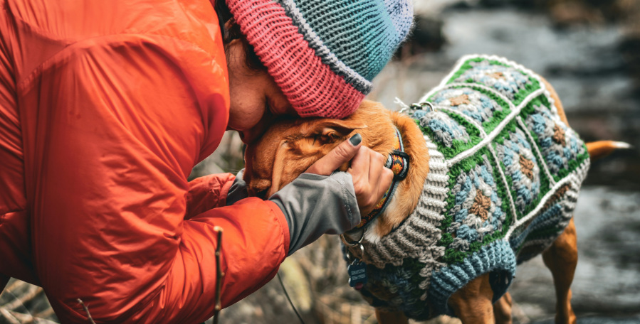 clanek 7 - pece 2026 10